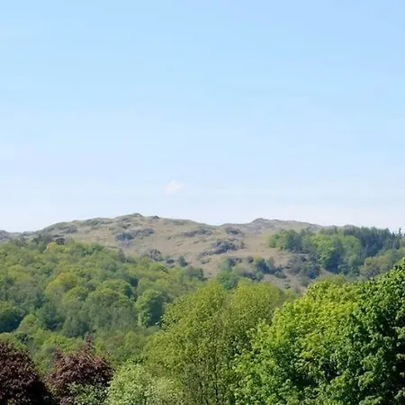 Idle Mill 1 *